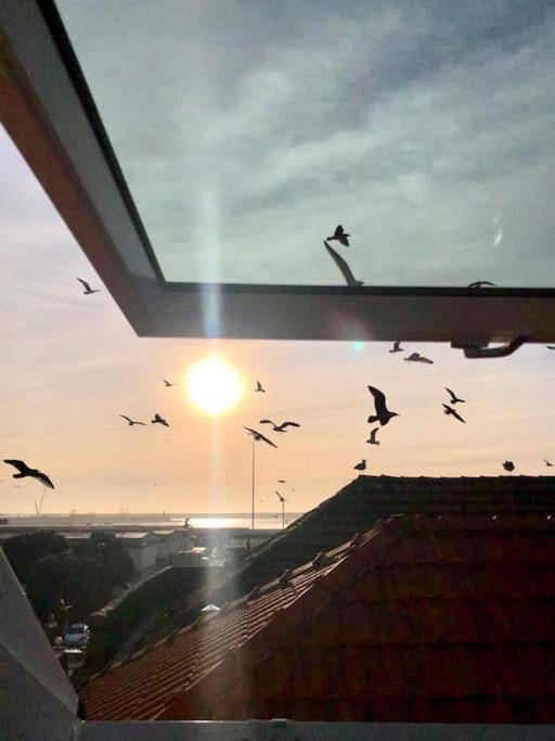 Lobo Do Mar Matosinhos Beach Loft Zewnętrze zdjęcie