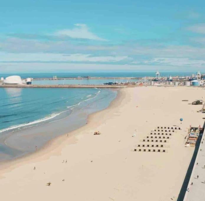 Lobo Do Mar Matosinhos Beach Loft Zewnętrze zdjęcie
